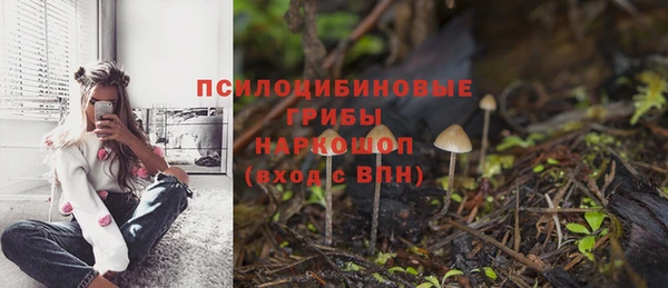 спайс Заволжье