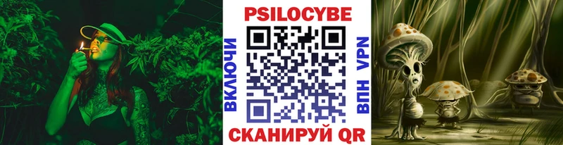 закладки Сегежа Галлюциногенные грибы Cubensis