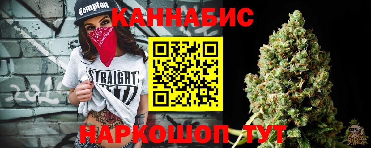 Канабис планчик Сегежа
